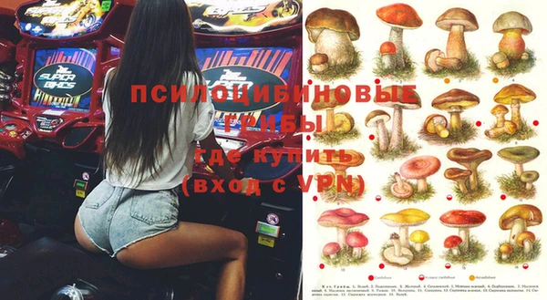 стаф Заволжье