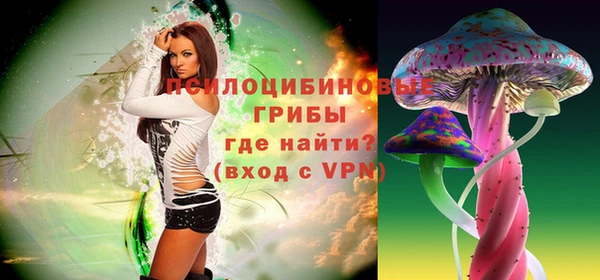 спиды Зеленокумск
