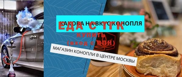 гашик Ельня
