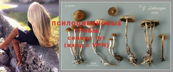 спиды Зеленокумск