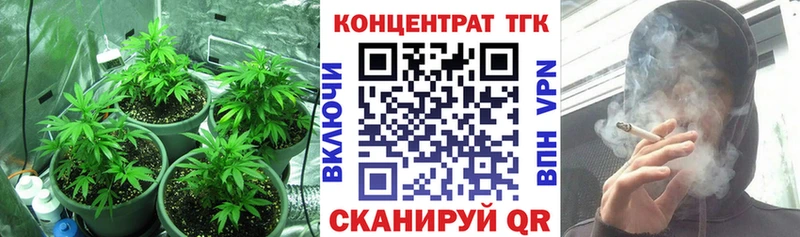 Купить закладки  Пыталово  ТГК вейп 