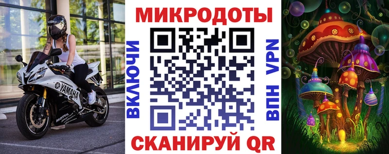 Псилоцибиновые грибы Cubensis  Купить  Пыталово 