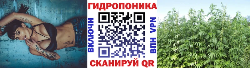 Купить где  Пыталово  Конопля семена 